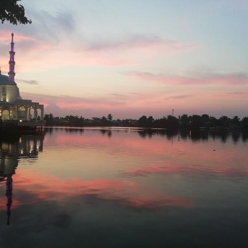 Photo #3520485