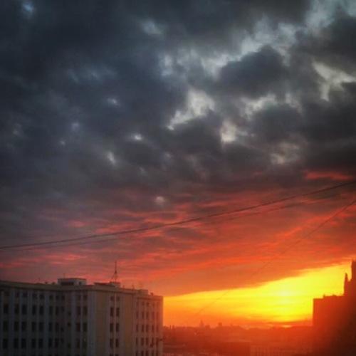 Photo #3520521