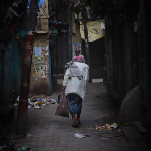 Photo #3521484