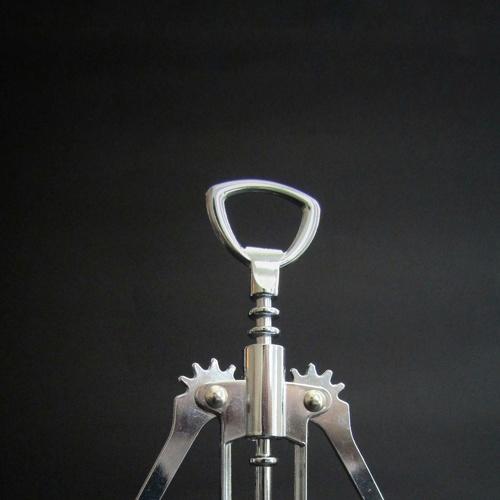 Photo #3521545
