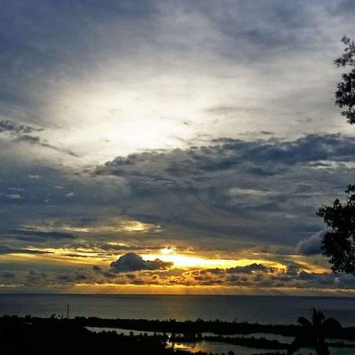Photo #3522241