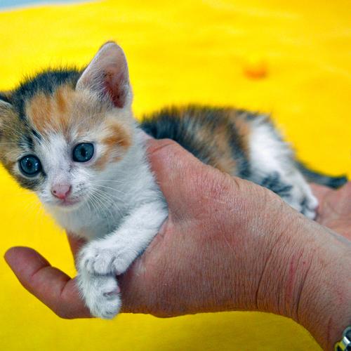 Photo #3522714