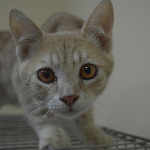 Photo #3522727