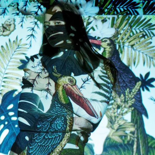 Photo #3522792