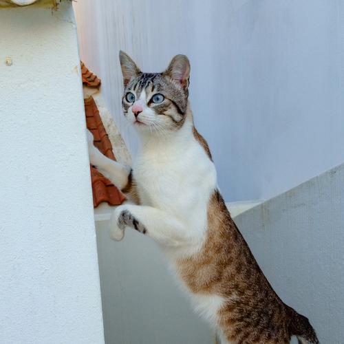 Photo #3522876