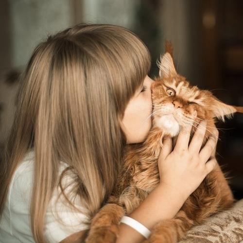 Photo #3523015