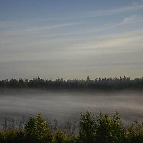 Photo #3523210