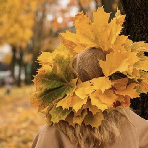 Photo #3523268