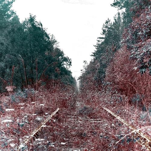 oblivion way