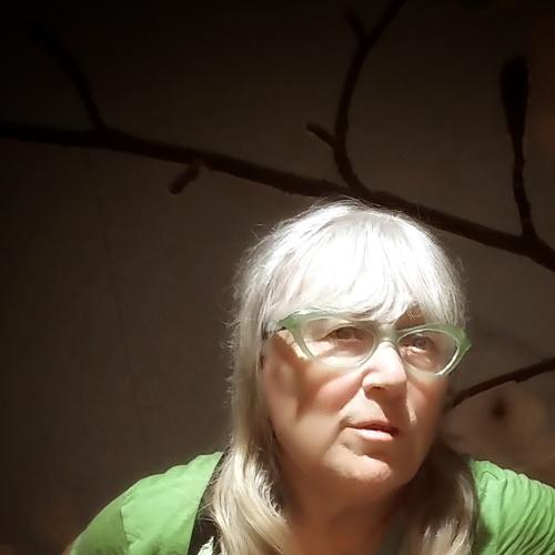 Photo #3523643