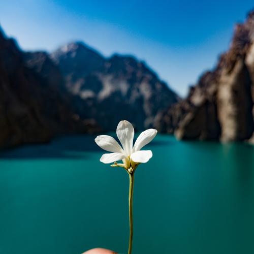Photo #3523744