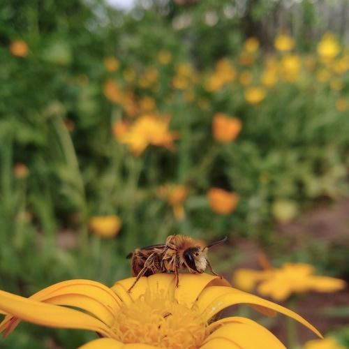 Photo #3523797