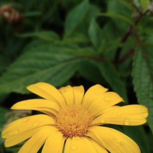 Photo #3523827
