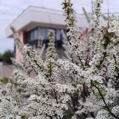 Photo #3523858