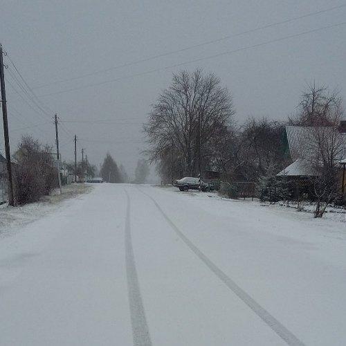 Photo #3523882