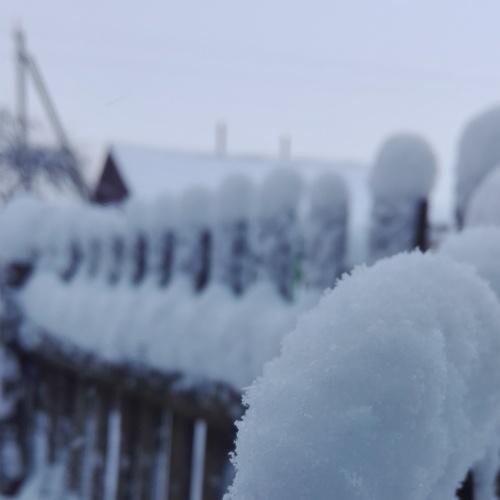 Photo #3523889