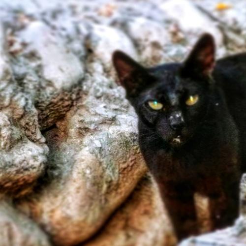 Photo #3523900