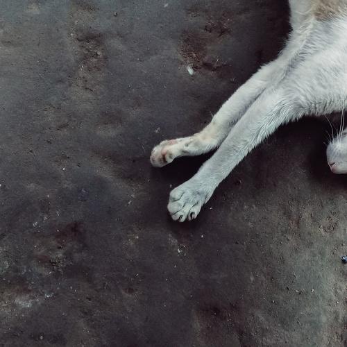 Photo #3523949