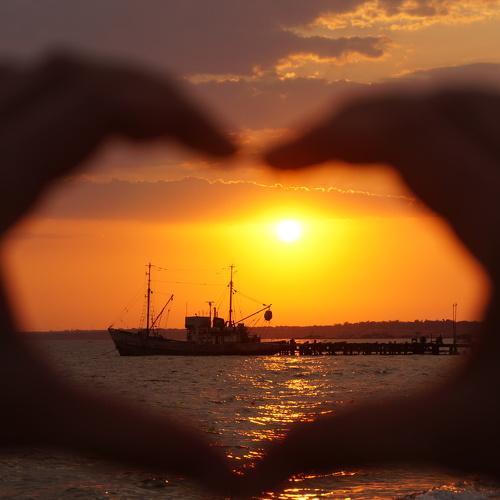 Photo #3524041