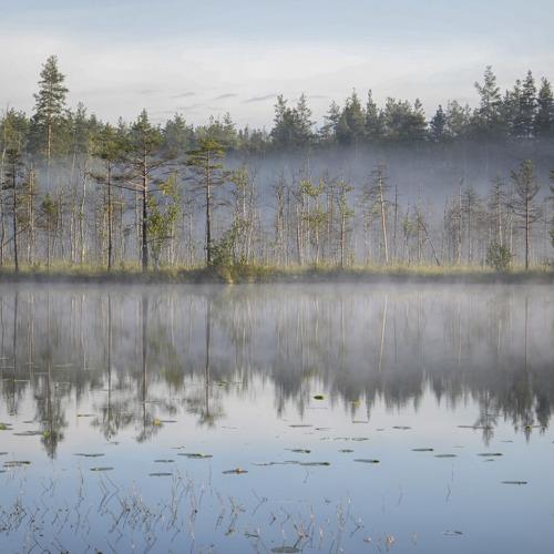 Photo #3524062