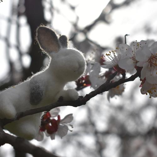Photo #3524217