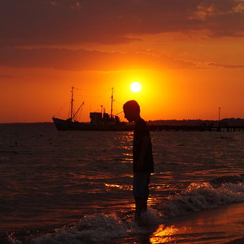 Photo #3524682