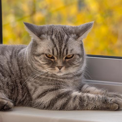 Photo #3524970