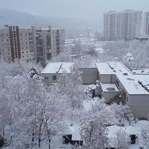 Photo #3525433