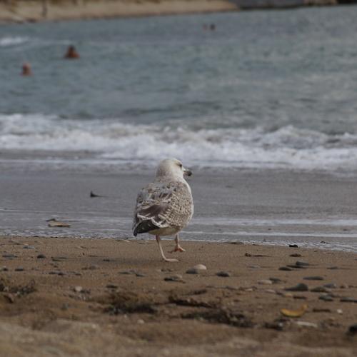 Photo #3525434