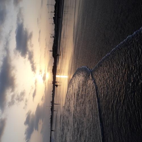Photo #3525562