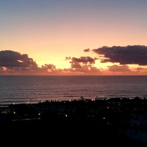 Photo #3525958