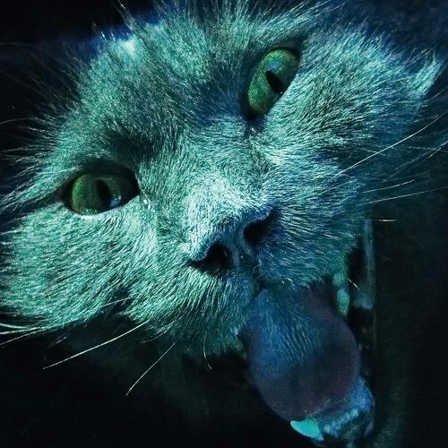 Photo #3526435