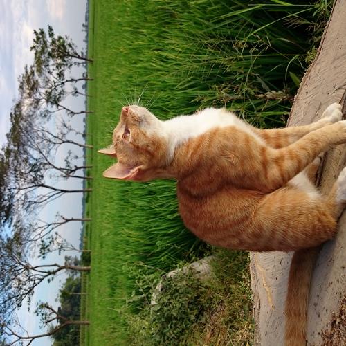 Photo #3526646
