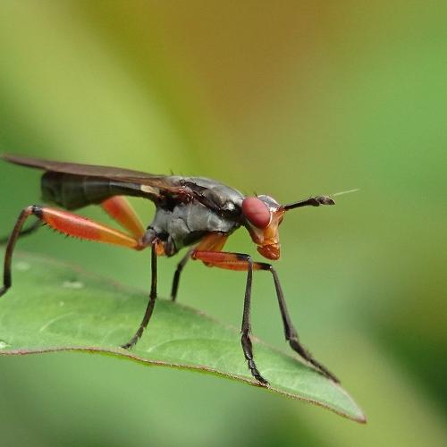 Photo #3526664