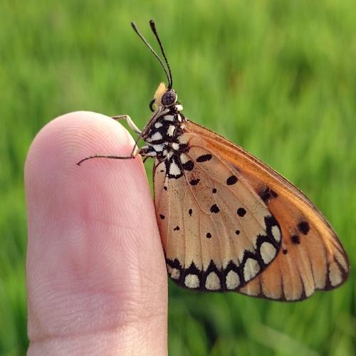 Photo #3526667