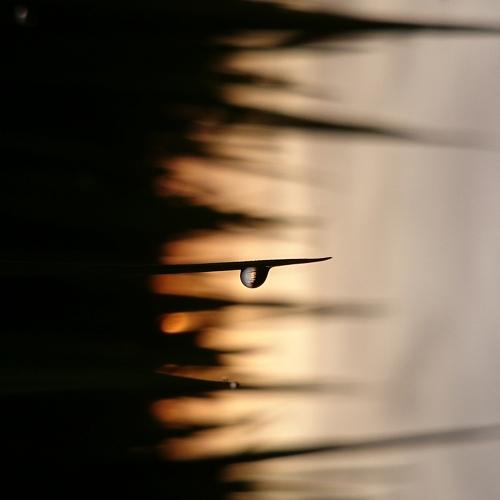 Photo #3526678