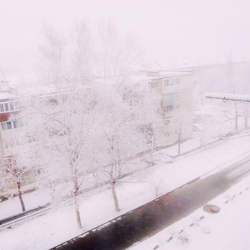 Photo #3526690
