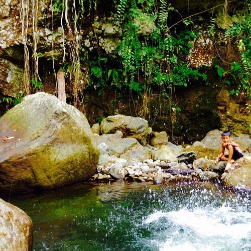Photo #3526734