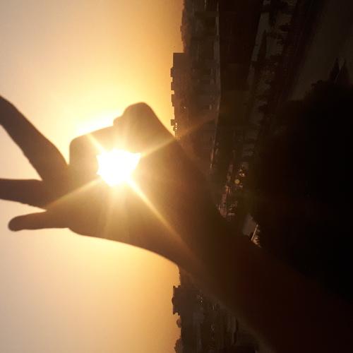 Photo #3526736