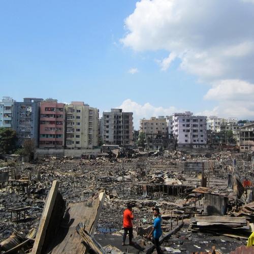 Photo #3526748