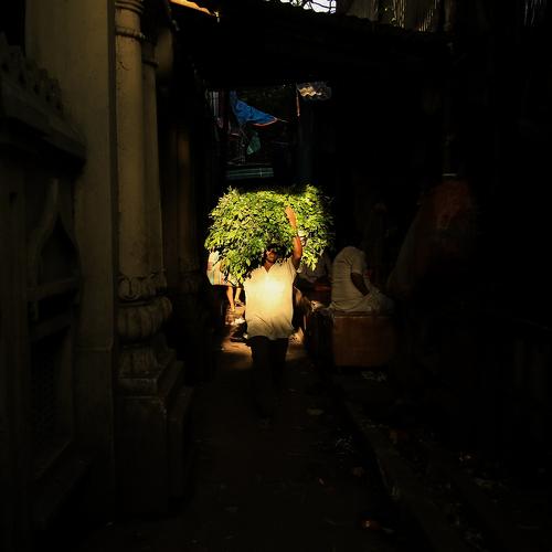 Show me the Way