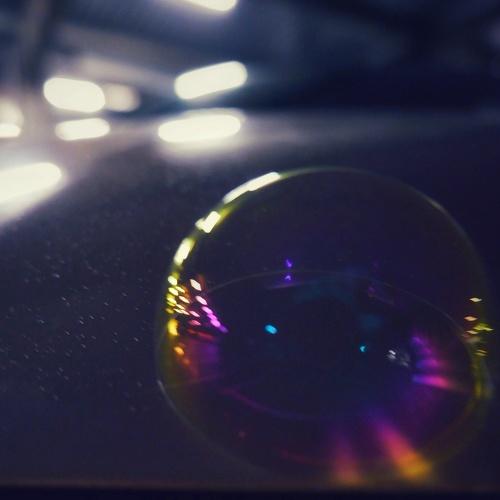 Photo #3527237