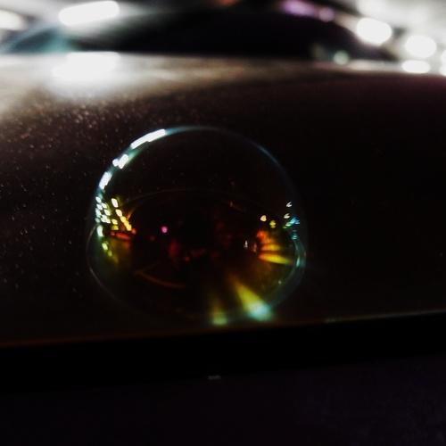 Photo #3527238