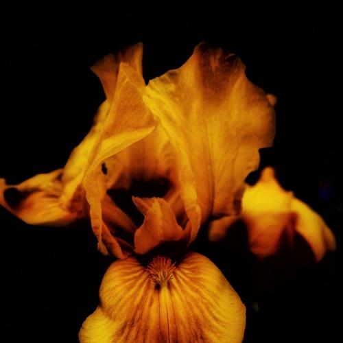 Photo #3527347