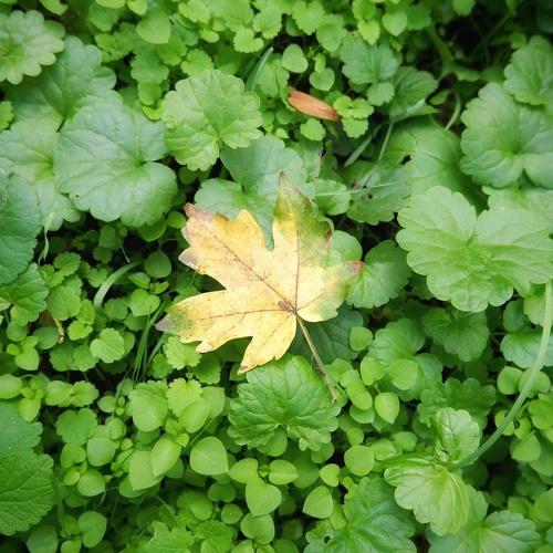 Photo #3527349