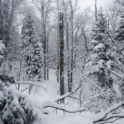 Photo #3527365
