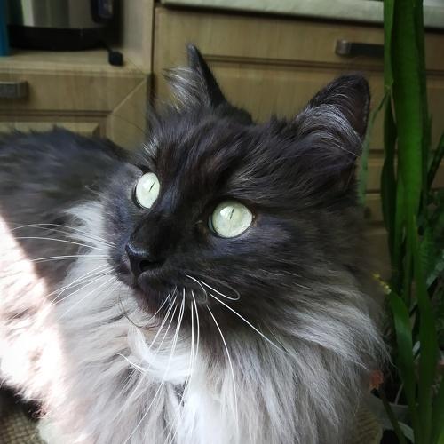 Photo #3527526