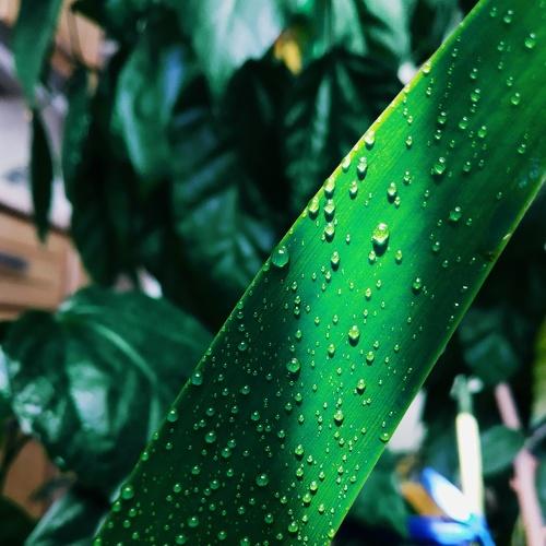 Photo #3527530