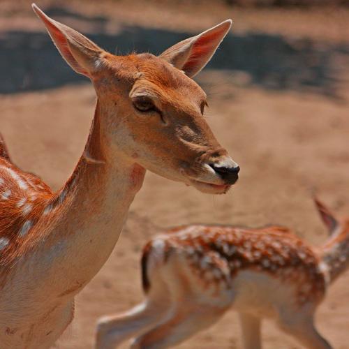 Photo #3527608