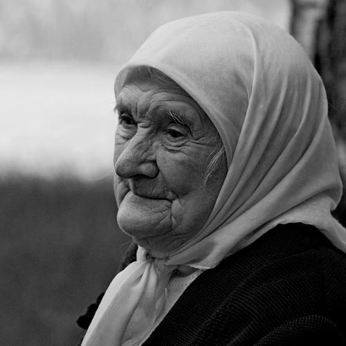 Photo #3527768